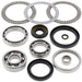 ALL BALLS Front Differential Bearing & Seal Kit - Main