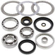 ALL BALLS Front Differential Bearing & Seal Kit - Main