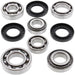 ALL BALLS Rear Differential Bearing & Seal Kit Yamaha - Main