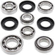 ALL BALLS Rear Differential Bearing & Seal Kit Yamaha - Main
