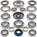 ALL BALLS Rear Differential Bearing & Seal Kit Polaris - Main