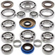 ALL BALLS Rear Differential Bearing & Seal Kit Polaris - Main