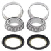 ALL BALLS Steering Shaft Bearing Kit Honda - Main