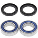 ALL BALLS Wheel Bearing Kit - Main
