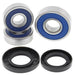 ALL BALLS Rear Wheel Bearing Kit Honda CB600F Hornet - Main