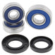 ALL BALLS Rear Wheel Bearing Kit Honda CB600F Hornet - Main