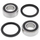 ALL BALLS Rear Wheel Bearing Kit TM - Main