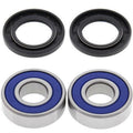 ALL BALLS Rear Wheel Bearing Kit Yamaha FZ8/M T-09 - Main