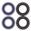 ALL BALLS Front Wheel Bearing Kit - Main