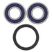 ALL BALLS Front Wheel Bearing Kit - Main