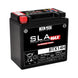 BS BATTERY SLA Max Battery Maintenance Free Factory Activated - BTX14H - Main