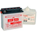 BS BATTERY Battery Conventional with Acid Pack - 12N5.5-4A - Main
