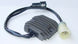 TOURMAX Regulator - Kawasaki Ninja ZX-6R - Extra