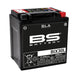 BS BATTERY SLA Battery Maintenance Free Factory Activated - BIX30L - Main