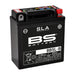BS BATTERY SLA Battery Maintenance Free Factory Activated - BB5L-B - Main