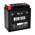 BS BATTERY SLA Battery Maintenance Free Factory Activated - BB9-B - Main