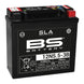 BS BATTERY SLA Battery Maintenance Free Factory Activated - 12N5.5-3B - Main