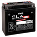 BS BATTERY SLA Max Battery Maintenance Free Factory Activated - 51913 - Main
