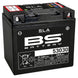 BS BATTERY SLA Battery Maintenance Free Factory Activated - 53030 - Main