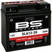 BS BATTERY SLA Battery Maintenance Free Factory Activated - SLA12-20 - Main