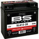 BS BATTERY SLA Battery Maintenance Free Factory Activated - SLA12-20 - Main