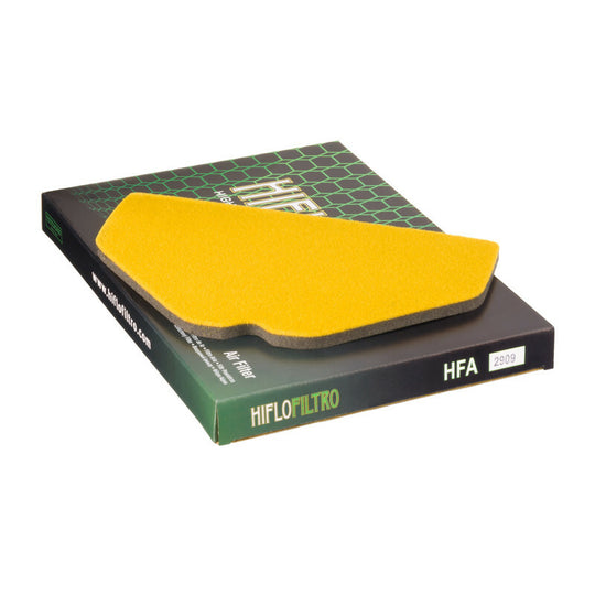 HIFLOFILTRO Air Filter - HFA2909 - Main