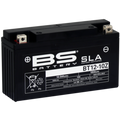 BS BATTERY SLA Battery Maintenance Free Factory Activated - BT12-10Z - Main