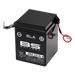 BS BATTERY SLA Battery Maintenance Free Factory Activated - 6N4-2A/A-4 - Main