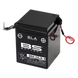 BS BATTERY SLA Battery Maintenance Free Factory Activated - 6N4-2A/A-4 - Main