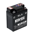 BS BATTERY SLA Battery Maintenance Free Factory Activated - 6N6-3B/B-1 - Main