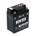 BS BATTERY SLA Battery Maintenance Free Factory Activated - 6N6-3B/B-1 - Main