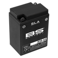 BS BATTERY SLA Battery Maintenance Free Factory Activated - B38-6A - Main