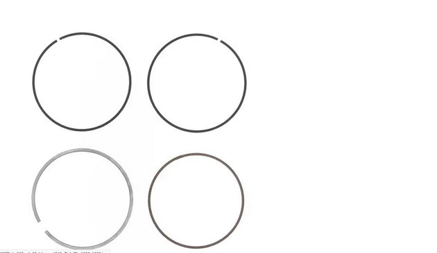 ATHENA Ring Ã˜ 95 mm for Athena Piston - Extra