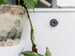 Suport Quad Lock® Adhesive Wall Mount - Twin Pack
