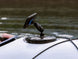 360 Arm - Dual Pivot - Small