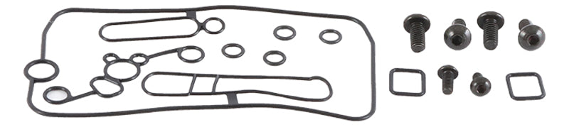 ALL BALLS Carburetor Repair Kit - Extra