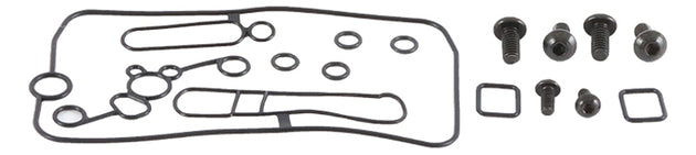 ALL BALLS Carburetor Repair Kit - Extra