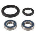 ALL BALLS Wheel Bearing Kit - Main