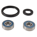 ALL BALLS Wheel Bearing Kit - Main