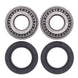 ALL BALLS Wheel Bearing Kit - Main