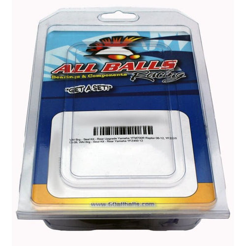 ALL BALLS Wheel Bearing Kit - Extra