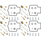 ALL BALLS Carburetor Repair Kit - Extra