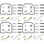 ALL BALLS Carburetor Repair Kit - Extra