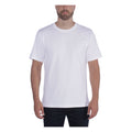 Carhartt Solid t-shirt white