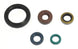 Set garnituri pentru motor ATHENA P400250400049 