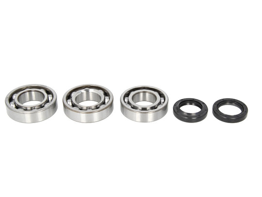 Kit de reparație pentru arbore cotit POLARIS BIG BOSS, HAWKEYE, TRAIL BOSS, XPLORER, XPRESS 250/300 1994-1999