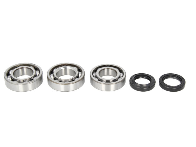 Kit de reparație pentru arbore cotit POLARIS BIG BOSS, HAWKEYE, TRAIL BOSS, XPLORER, XPRESS 250/300 1994-1999