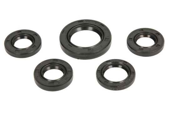 Set garnituri pentru motor INPARTS PF 10 064 0004 