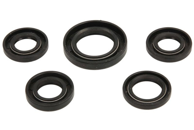 Set garnituri pentru motor INPARTS PF 10 064 0004