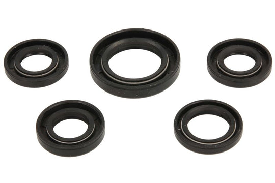 Set garnituri pentru motor INPARTS PF 10 064 0004 